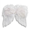 Feather Angel Wings - White - Angel Parts - Angels Wings - Wings for Angels - 