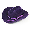 Mini Cowboy Hats - Purple - Cowboy Hat - 