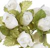 Rose Bud Bunch - Cream / White - Rose Bud Cluster - 