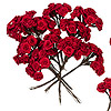 Ribbon Rose Cluster - Red -  - 