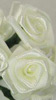 Ribbon Rose Cluster - Ivory - Floral - 