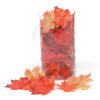 Silk Screen Maple Leaves - Orange Mix - Fall Floral - 