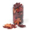 Silk Screen Maple Leaves - Brown Mix - Fall Floral - 
