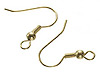 Brass Fish Hook Earrings - Gold - Jewelry Findings - 