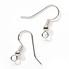 Fish Hook Earrings - Nickel Free - Bright Silver - fish hook earrings - 