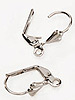 Lever Back Earrings - Silver -  - 