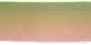 Gradient Colored Wired Ribbon - Green / Pink - Wired Ribbon - Fabric Ribbon - 