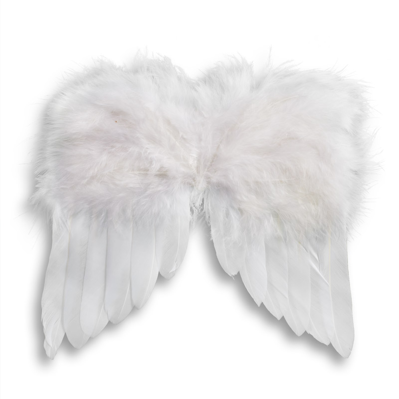 Angel Parts - Angels Wings - Wings for Angels