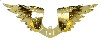 Double Metal Angel Wings - Angels Wing