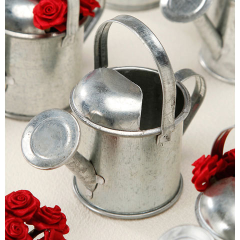 Mini Galvanized Metal Watering Can