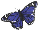 Butterfly for Crafts - Feather Butterflies - Decorative Butterflies - Artificial Butterflies - Butterflies for Crafts - Fake Blue Butterfiles