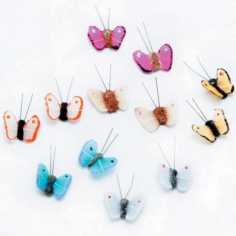 Painted Feather Butterflies