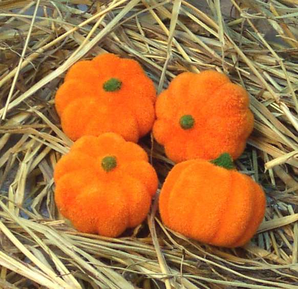 Halloween Decorations - Fall Decorations