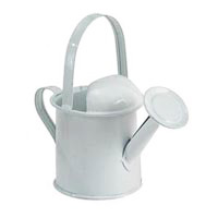 Metal Galvanized - Rusty Tin Watering Can
