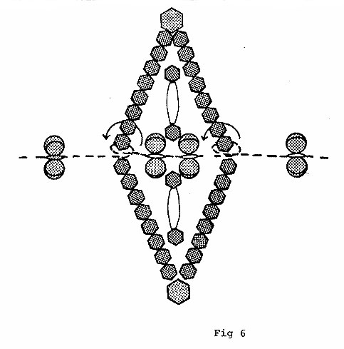 Beaded Star In a Star Pattern Figure 6 - Free Craft Pattern
