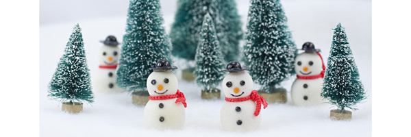 Snowman Decorations - Snowman Parts - Snowman Nose