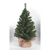 Mini Christmas Tree - Christmas Tree