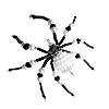 Christmas Spider Ornament Kit - Crystal Or White With Black - Christmas Spider Ornament Kit - Christmas Spider to Make