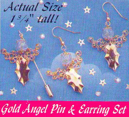 Angel Pin and Earring Kit