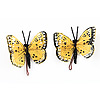 Butterfly for Crafts - Feather Butterflies - Decorative Butterflies - Artificial Butterflies - Butterflies for Crafts - Fake Butterfiles