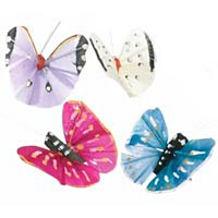 Painted Feather Butterflies
