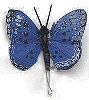 Painted Feather Butterfly - Feathered Butterflies - Monark Craft Butterflies