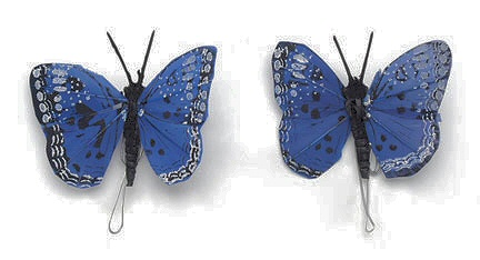 Feathered Butterflies - Monark Craft Butterflies