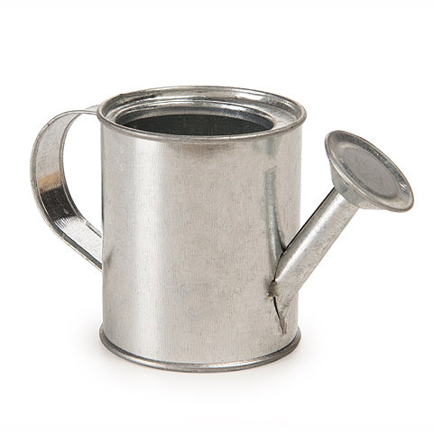 Metal Galvanized - Rusty Tin Watering Can