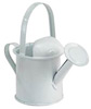 Mini Watering Can - Metal Galvanized - Rusty Tin Watering Can