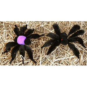 Hairy Halloween Spiders - Free Halloween Craft Instructions