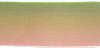 Gradient Colored Wired Ribbon - Wired Ribbon - Fabric Ribbon